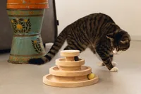 Designed by Lotte Spielturm Mia 26 x 26 x 14.5 cm - Höhe: 26 cm - Anzahl Liegeplätze: 1 × - Detailfarbe: Beige - Tierart: Katze - Produkttyp: Kratzbaum