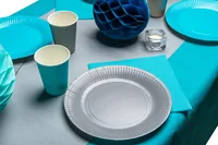 PRO nappe Einwegteller 23 cm, 20 Stück, Grau - Produkttyp: Einwegteller - Materialtyp: Papier - Material: Pappe - Detailfarbe: Grau - Verpackungseinheit: 20 Stück