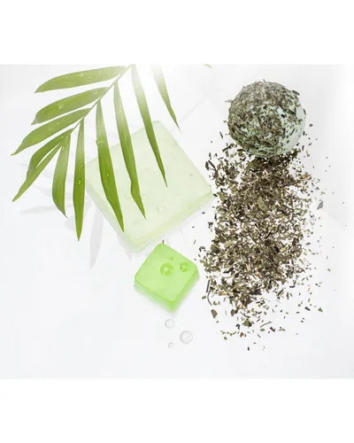 GLOREX Ribwort herb 4g cut
