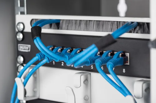 DIGITUS Kabelbürstenleiste 0,5HE 10"" 254mm grau