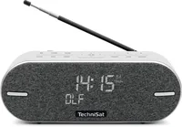 TechniSat DIGITRADIO BT 2 Portatile Analogico e digitale Grigio