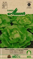 Samen Mauser Samen Bioline Kopfsalat Ovation - Bio: Nein - Sonneneinstrahlung: Sonnig - halbschattig - Aussaatzeit: April - März - Mai - Juli - Juni - Saattyp: Bioline - Gemüsegruppen: Salat - Erntezeit: September - Juni - Mai - August - Juli - Oktober
