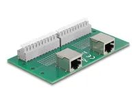 DELOCK RJ50 2 x Buchse zu 2 x Terminalblockmit Drucktaster