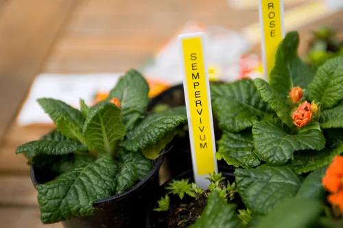 Brother M-K631B label-making tape