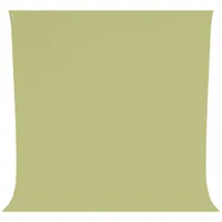 Westcott Hintergrund Faltenresistent 270 x 300 cm Light Moss Green - 