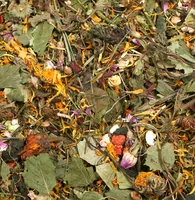 JR Farm Herbs Feldkräuter, 200 g - Nagetierart: Zwergkaninchen - alle Kleinnagetiere - Tierart: Nager