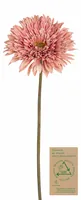 Botanic-Haus Kunstblume Gerbera, Altrosa, 63 cm - Produkttyp: Schnittblumen und Zweige - Detailfarbe: Altrosa - Detailmaterial: Recycled Kunststoff - Grundmaterial: Kunststoff