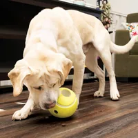 Kong Futterball Rewards Tennis L Ø 14 cm - Produkttyp: Strategiespielzeug - Tierart: Hund - Detailfarbe: Gelb