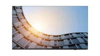 Lenovo ThinkVision E65 LFD computer monitor 163.8 cm (64.5"") 3840 x 2160 pixels 4K Ultra HD LCD Black