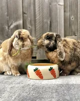 Nobby Keramiknapf Futtertrog Carrot, Ø 8 cm, 125 ml - Nagetierart: Zwergkaninchen - Kaninchen - Tierart: Nager