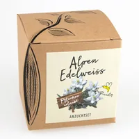 Naturkraftwerk Anzuchtset Alpenedelweiss, mit Saatgut - Anzahl Mulden: 1