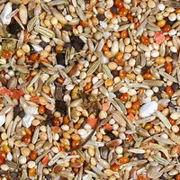 JR Farm Ziervogelfutter Individual Nymphensittich, 1 kg - Packungsgrösse: 1 kg - Tierart: Ziervogel - Saison: Alljahresfutter - Produkttyp: Hauptfutter