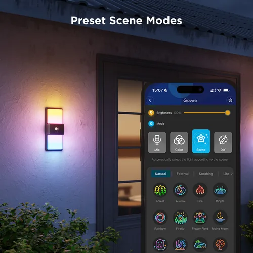 Smart Outdoor Wall Light