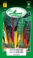 Samen Mauser 10334704 vegetable seed