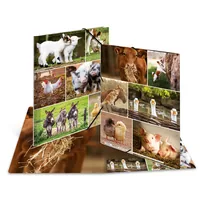 HERMA 19344 ring binder A4 Multicolour
