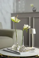 Leonardo Vase Aria 21 cm, Transparent - Assortiert: Nein - Höhe: 21 cm - Detailfarbe: Transparent - Detailmaterial: Kalk-Natron-Glas - Grundmaterial: Glas