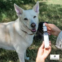 Paws & Patch Hunde-Nahrungsergänzung Ängstlichkeit 10 g - Nahrungsergänzungstyp: Tabletten - Tierbedürfnis: Beruhigung & Wohlbefinden - Zertifikate: Keine Zertifizierung - Packungsgrösse: 10 g - Produkttyp: Ergänzungsfutter - Cannabinoide: Keine