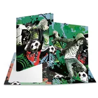 HERMA Gummibandmappe Street Soccer A4, Karton, mit Innendruck - Typ: Gummibandmappe - Ausstattung: Innendruck - Gummiband - Detailfarbe: Mehrfarbig - Material: Karton