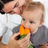 Oli&Carol Cathy the Carrot Mini Doudou teether