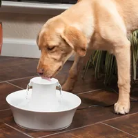 PetSafe Wasserautomat Drinkwell Keramik-Trinkbrunnen Avalon, 2 l - Detailfarbe: Weiss - Tierart: Katze - Hund - Produkttyp: Wasserautomat