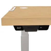 Fellowes Tischplatte Levado 160 x 80 cm, Ahorn - Tiefe: 2.5 cm - Breite: 80 cm - Material: Melamin - PVC - Höhe: 160 cm - Gewicht: 21 kg - Steh- & Sitzgestelltyp: Tischplatte