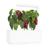 Click and Grow Samen Rote Peperoni - Bio: Nein - Sonneneinstrahlung: Hell und warm - Aussaatzeit: April - November - März - Mai - Juli - Dezember - Februar - Oktober - Juni - September - August - Januar - Gemüsegruppen: Fruchtgemüse - Saattyp: Saatgut - E