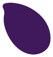 Reslin Farbpigmente Tinte 20 ml, Violett - Zubehörart Basteln: Farbpigmente