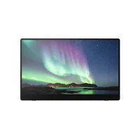 Ricoh 150 Mobiler OLED-Monitor mit Touchscreen