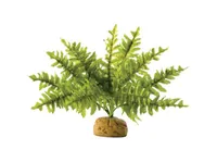 Exo Terra Regenwaldpflanze Boston Farn, S - Produkttyp Terraristik: Künstliche Pflanzen - Material: Kunststoff
