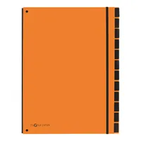 Pagna Ordnungsmappe A4 Trend Orange, 12 Fächer - Typ: Ordnungsmappe - Ausstattung: Schaulöcher - Taben - Gummiband - Detailfarbe: Orange - Material: Karton