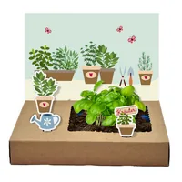 Wunderle Mini-Garten Küchenkräuter - Produkttyp Geschenke: Pflanzen und Saatgut - Empfänger Geschenke: Für Männer - Für Frauen
