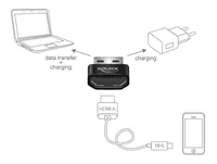 Delock Adapter HDMI-A Buchse > USB Typ-A Stecker schwarz