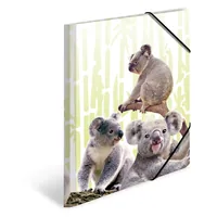 HERMA Gummibandmappe Koala A4, Mehrfarbig - Typ: Gummibandmappe - Ausstattung: Innendruck - Einschlagklappen - Gummiband - Detailfarbe: Mehrfarbig - Material: Polypropylen (PP)