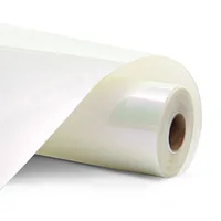 LOKLiK SG-HTV-1566-US-L-B2B vinile termosaldabile per transfer Rotolo di vinile termosaldabile per transfer Vinile liscio termosaldabile per transfer