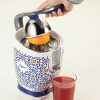 Ariete 413, Capri juicer, Electric juicer with lever, 2 cones for large and small fruits, Drip spout, Quiet motor, Professional juicing, Metal body
