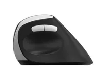 RAPOO EV250 Vertical Mouse 13531 2,4 GHz, wireless