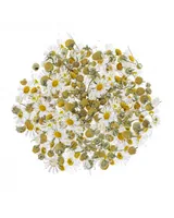 GLOREX Chamomile flowers 2g cut