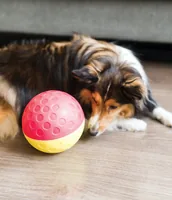 Nina Ottosson Strategie-Spiel Treat Tumble L, Ø 13 cm, Rot - Produkttyp: Strategiespielzeug - Tierart: Hund