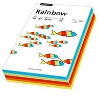 PAPYRUS Rainbow Mixpack 88043188 intensiv, 80g 100 Blatt