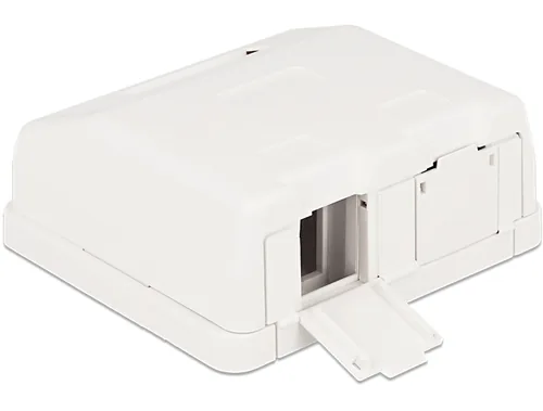 Delock Gehäuse Keystone 2-fach, weiss - Detailfarbe: Weiss - Montage: Desktop - Serie: Standard - E-Nr.: 0 - Schirmung: Nein - Schnittstellen: Keystone