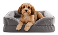 Lumaland Hundebett In-& Outdoor S Grau - Tierart: Hund - Detailfarbe: Grau - Breite: 60 cm - Länge: 70 cm - Produkttyp: Bett