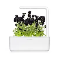 Click and Grow Saatgut Schwarzes Stiefmütterchen - Bio: Nein - Blütenfarbe: Schwarz - Blütezeit: April - März - Juli - Mai - Februar - Oktober - Juni - Januar - November - August - September - Dezember - Sonneneinstrahlung: Hell und warm - Aussaatzeit: Ap