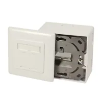 Logilink CAT 6A Auf und Unterputzdose vollgeschirmt RAL 901