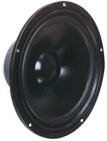 Visaton HiFi-Tieftöner W 250 S - Impedanz: 8 ? - Lautsprecher Kategorie: Tieftöner - Durchmesser: 10  - Montage: Einbau - Aktiv Lautsprecher: Nein - Nennleistung: 100 W