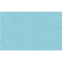 URSUS Tonzeichenpapier 50 x 70 cm 130 g/m², 10 Blätter, Hellblau - Papierformat: 50 x 70 cm - Selbstklebend: Nein - Papierfarbe: Hellblau - Papiertyp: Tonzeichenpapier - Mediengewicht: 130 g/m² - Verpackungseinheit: 10 Stück