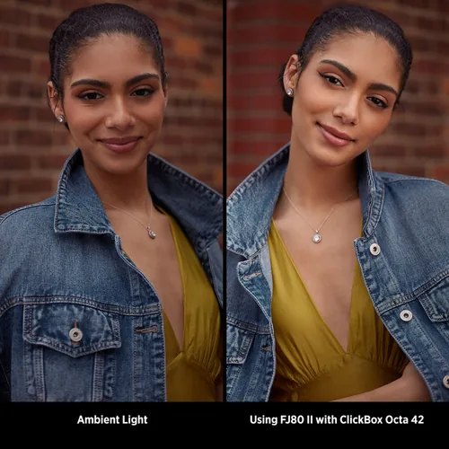 Westcott 853 softbox
