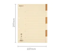 BIELLA Kartonregister A4 46444600U braun/beige 6-teilig