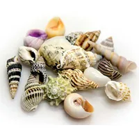 Hobby Aquaristik Dekoration Sea Shells Set, L, 5 Stück - Einrichtung: Figuren & Gegenstände - Material: Kunststoff