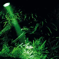 HOBBY Aquaristik Bubble Air Spot colour & moon LED AC Black