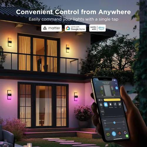 Smart Outdoor Wall Light